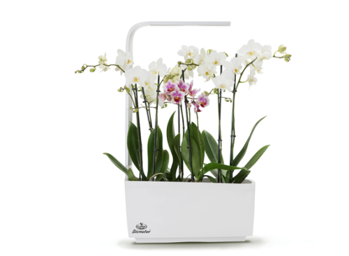 jardinera Hidroponica